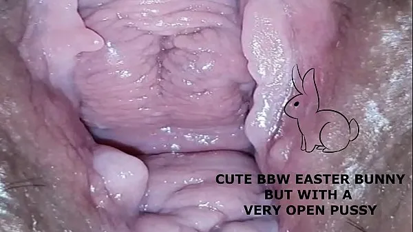 HD Cute bbw bunny, but with a very open pussy mega Clips