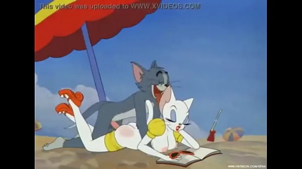 HD Tom & Jerry porn parody mega Clips
